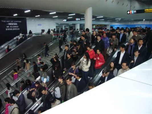 P1010885 (Small).webp P1010885 (Small).webp