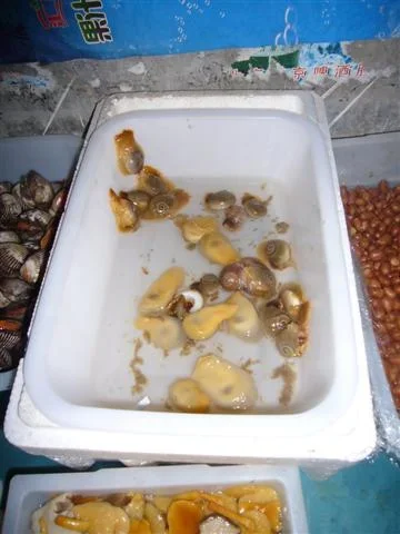 P1010651 (Small).webp P1010651 (Small).webp