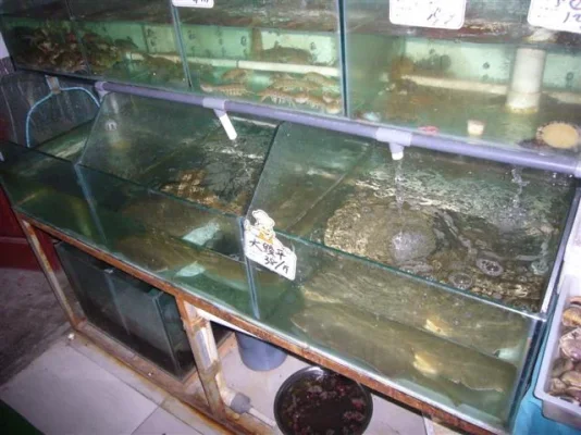 P1010649 (Small).webp P1010649 (Small).webp