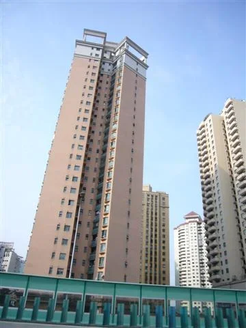 P1010526 (Small).webp P1010526 (Small).webp