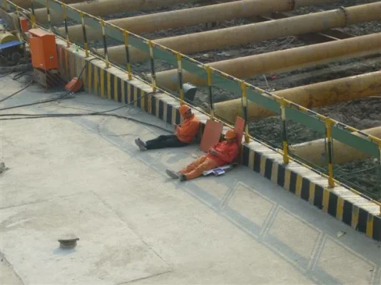 P1010919 (Small).webp P1010919 (Small).webp