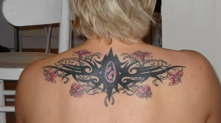 Tribaali12010.webp Tribaali12010.webp