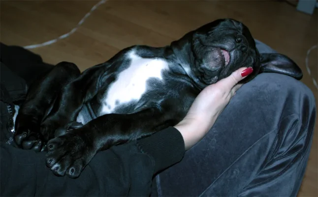 2.1.2010 massa .webp