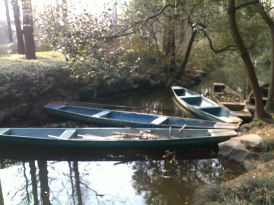 080120112563.webp 080120112563.webp