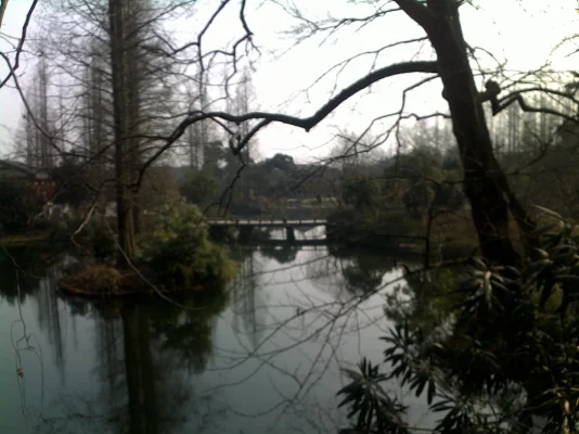 080120112561.webp 080120112561.webp