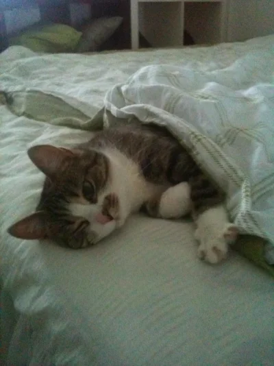 IMG_1197.webp IMG_1197.webp