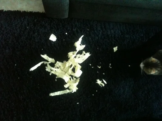 IMG_1203.webp IMG_1203.webp