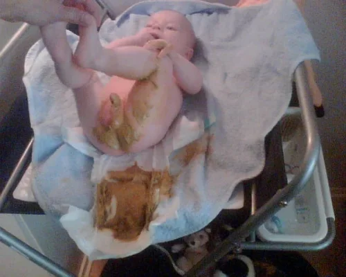 Kuva022.webp Kuva022.webp