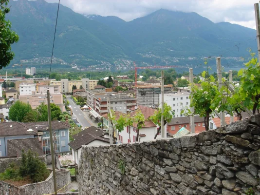 pakkis_9.webp pakkis_9.webp