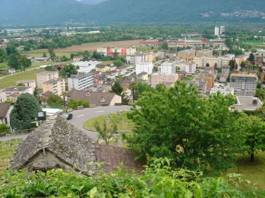 pakkis_8.webp pakkis_8.webp