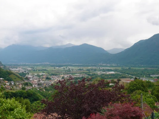 DSC01522.webp DSC01522.webp