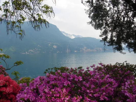 DSC01485.webp DSC01485.webp