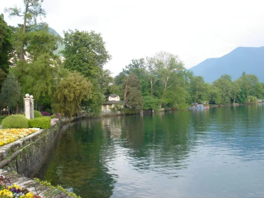 DSC01487.webp DSC01487.webp