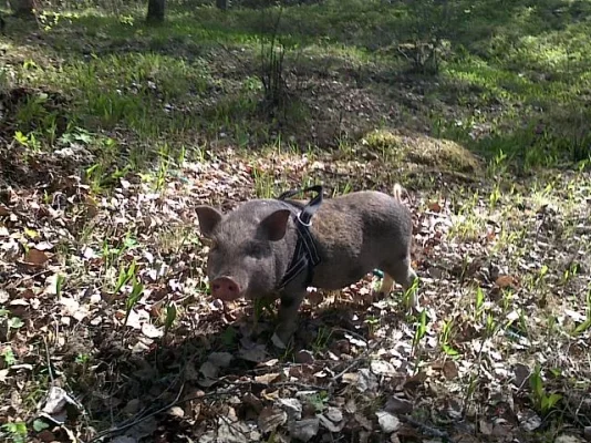 14052011.webp 14052011.webp