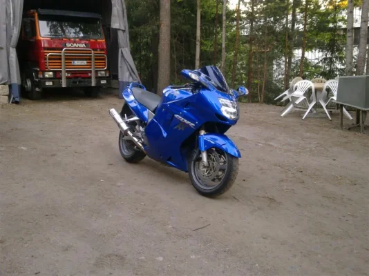 03062011206 (Large).webp