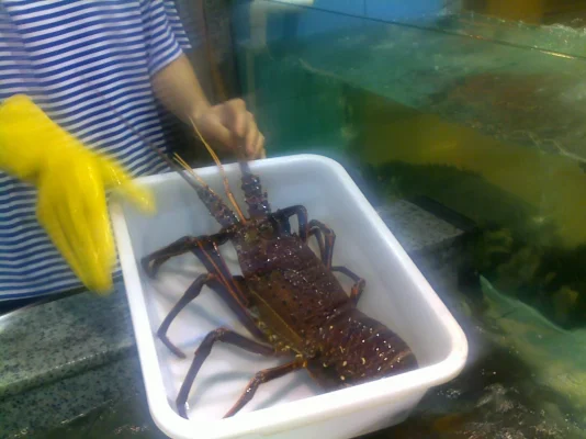 150620113196.webp 150620113196.webp