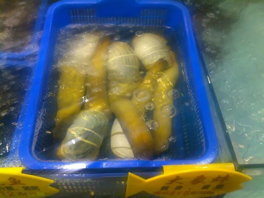 150620113197.webp 150620113197.webp