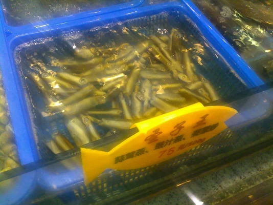 150620113199.webp 150620113199.webp