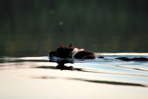 IMG_07421.webp IMG_07421.webp