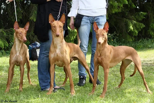 img3117856.webp img3117856.webp