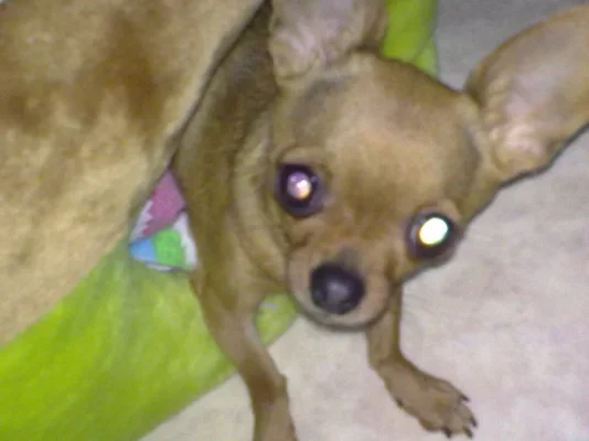 120503872.webp 120503872.webp