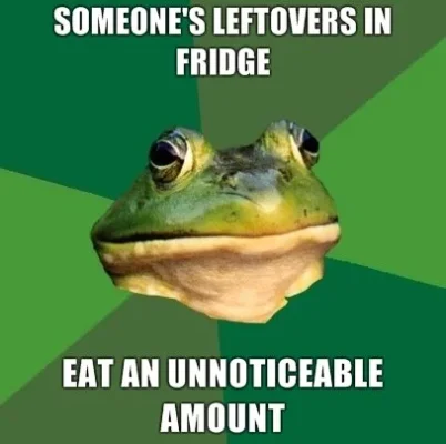 someones_leftovers_in_fridge_foul_bachelor_frog.webp