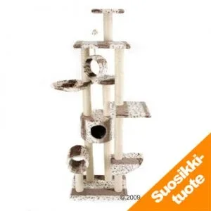 vanuatu_5.webp vanuatu_5.webp