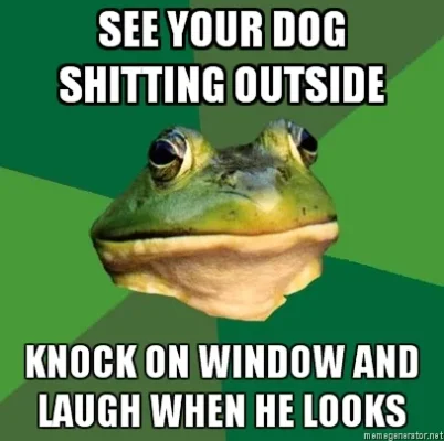 foul+bachelor+frog+dog+shitting+outside.webp