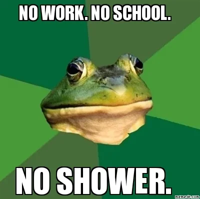 122-foul-bachelor-frog-no-work-no-school-no-shower.webp