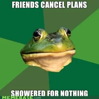 memes-foul-bachelor-frog-showering1.webp