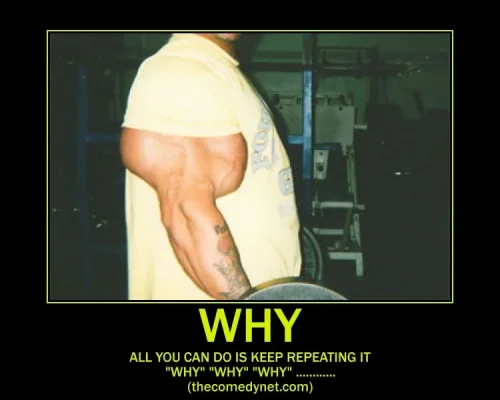 funny-bicep-motivational-picture.webp