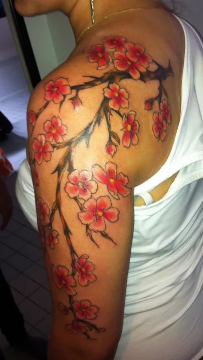 291329_10150281879331683_656176682_7696296_3162155_o.webp 291329_10150281879331683_656176682_7696296_3162155_o.webp