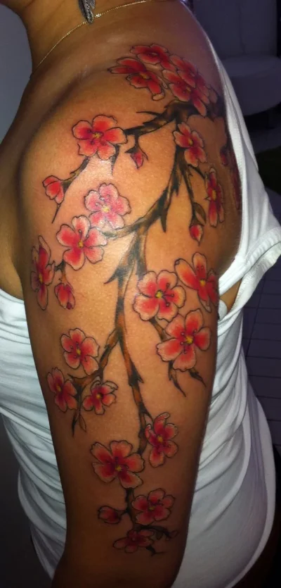 291329_10150281879326683_656176682_7696295_6902441_o.webp 291329_10150281879326683_656176682_7696295_6902441_o.webp