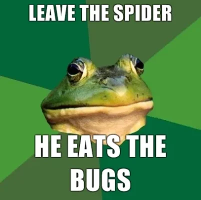 2713_baa7.webp 2713_baa7.webp