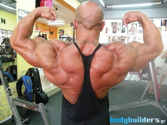 6060008953_9020322cd0_z.webp 6060008953_9020322cd0_z.webp