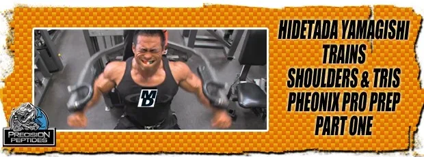 hidetada_shoulders_triceps_phoenix_part_1_rot.webp