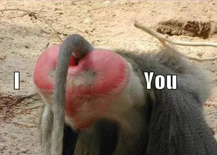 vday_monkeybutt.webp