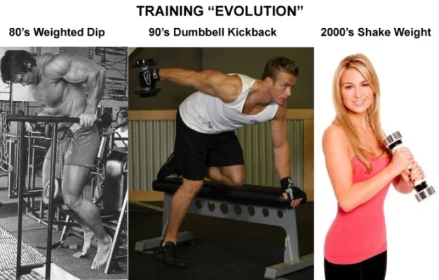 TrainingEvolution.webp