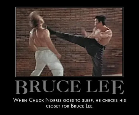 1557515-bruce_lee_vs_chuck_norris_by_mexpiratered_d34hvvi_super.webp