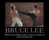 1557515-bruce_lee_vs_chuck_norris_by_mexpiratered_d34hvvi_super.jpg