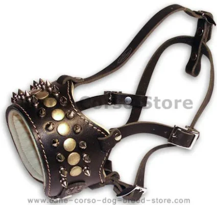 padded-leather-dog-muzzle-with-spikes-medium-breed_LRG.webp padded-leather-dog-muzzle-with-spikes-medium-breed_LRG.webp