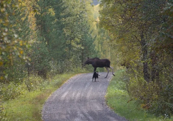 IMG_24921.webp IMG_24921.webp