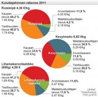 panorama_Kuluttajahinta.jpg