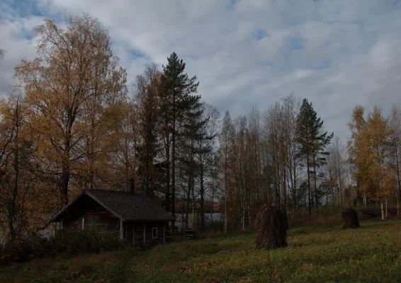 IMG_2578.webp IMG_2578.webp