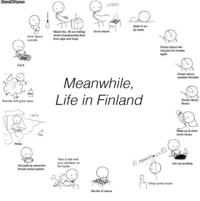 meanwhile_life_in_finland.webp