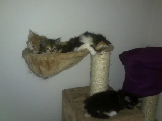 320594_10150354488625000_639549999_8427322_1565036573_n.webp 320594_10150354488625000_639549999_8427322_1565036573_n.webp