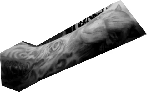 forfkofkfo.webp forfkofkfo.webp