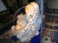 non-human-ancient-mummy-just-discovered-in-cusco-peru.jpg