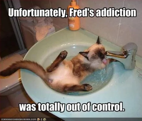 funny-pictures-your-cat-is-addicted-to-water.webp