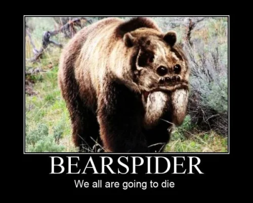 Demotivational-pictures-bear_Spider.webp